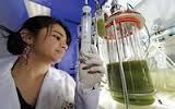 Fermentor Bioreactor Discovery Fermentor Bioreactor Discovery