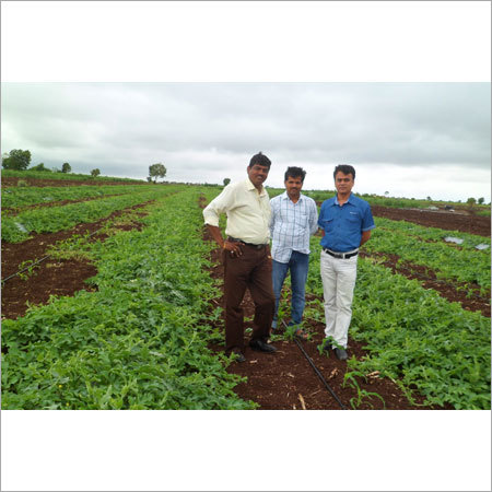 Agricultural Pesticides Agricultural Pesticides
