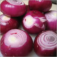 Red Fresh Onions Red Fresh Onions
