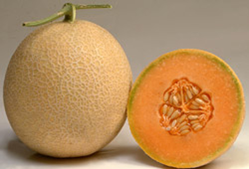 MADHURI Cantaloupe Seeds MADHURI Cantaloupe Seeds
