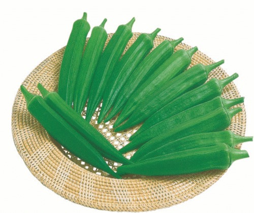 YASHODA Lady Finger Seed YASHODA Lady Finger Seed