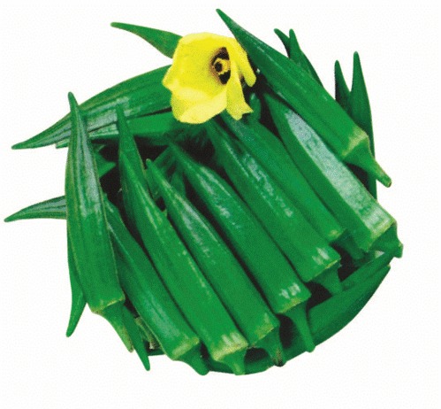 PRAMUKH Bhindi Seeds PRAMUKH Bhindi Seeds