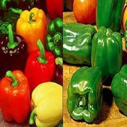 Capsicum Sweet Pepper Seeds Capsicum Sweet Pepper Seeds