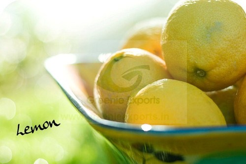 Lemon Lemon
