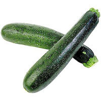 Zucchini Zucchini