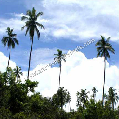 Andaman Beauty Tour Package Services Andaman Beauty Tour Package Services