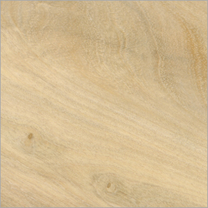 White Beech Wood White Beech Wood