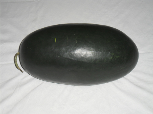 KARINA KING-2 watermelon Seeds KARINA KING-2 watermelon Seeds