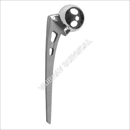Hip Prosthesis Hip Prosthesis