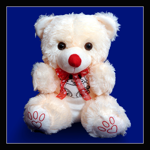 MY TEDDY MY TEDDY