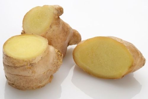Fresh Ginger Fresh Ginger