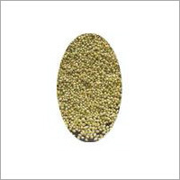 Coriander Seeds Coriander Seeds