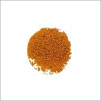 Mustard Seeds Mustard Seeds