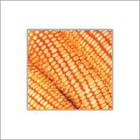Yellow Maize Yellow Maize