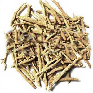 Ashwagandha Seeds Ashwagandha Seeds