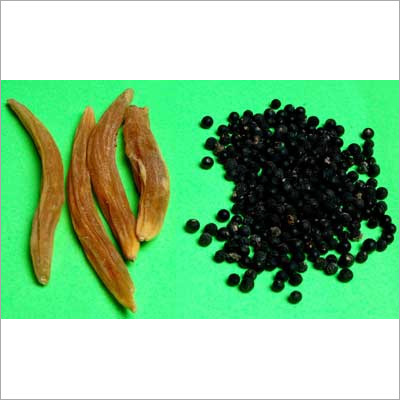 sporanox with antibiotics sporanox zdravilo