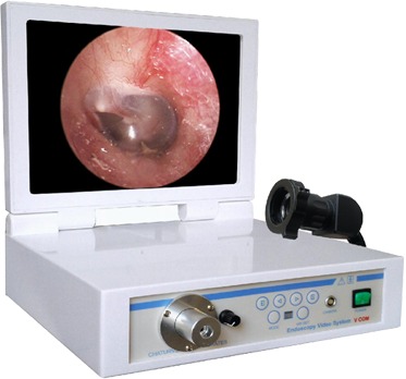 Portable Video Endoscopy Unit Portable Video Endoscopy Unit