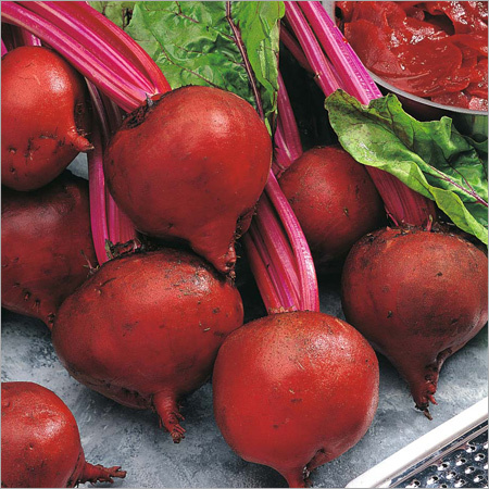 Fresh Beetroot Fresh Beetroot