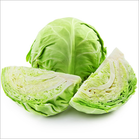 Fresh Green Cabbage Fresh Green Cabbage