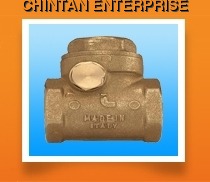 Swing Check Valve Swing Check Valve