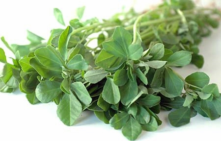Kasuri Methi leaves Kasuri Methi leaves