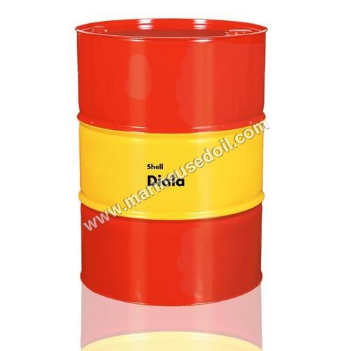 marine shell diala marine shell diala