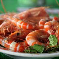 Shrimp Meat Shrimp Meat