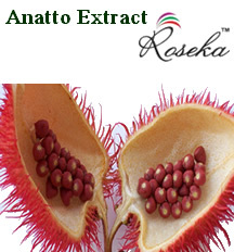 Anatto Extract 4 % Bixin Anatto Extract 4 % Bixin