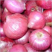 Red Onion Red Onion