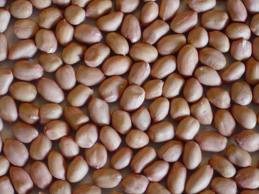 Peanuts Peanuts
