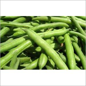 Fresh Beans Fresh Beans