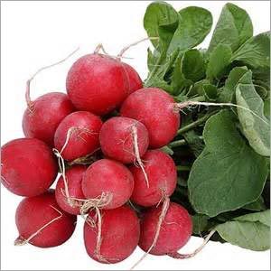 Fresh Radish Fresh Radish