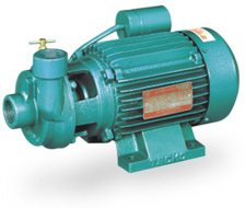 Domestic Monoblock Pump Domestic Monoblock Pump