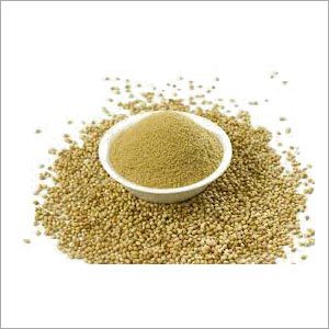 Coriander Powder Coriander Powder