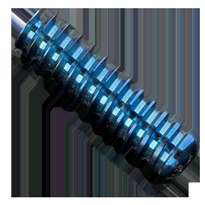 V.ACL SCREW V.ACL SCREW
