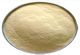 Dehydrated Garlic Powder Dehydrated Garlic Powder
