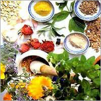 Herbal Medicine Herbal Medicine
