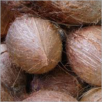 Fresh Coconut Fresh Coconut