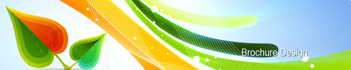 Brochure Designing Brochure Designing