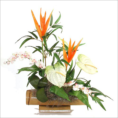 Bird of Paradise Flower Arrangement Bird of Paradise Flower Arrangement