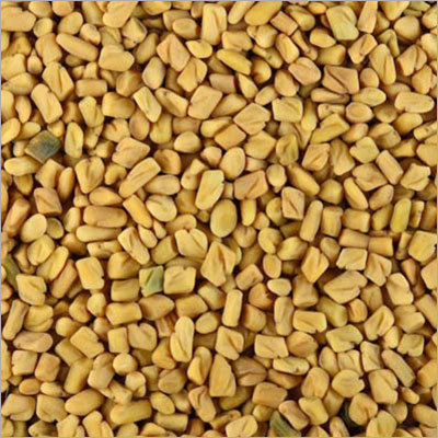 Fenugreek Seeds Fenugreek Seeds