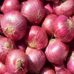 Onion Onion