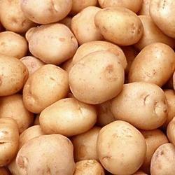 Potato Potato