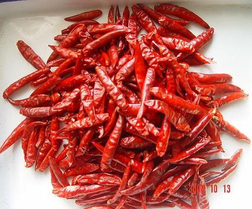 Red Chilli Red Chilli
