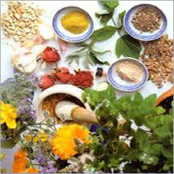 Cancer Treatment Services Cancer Treatment Services