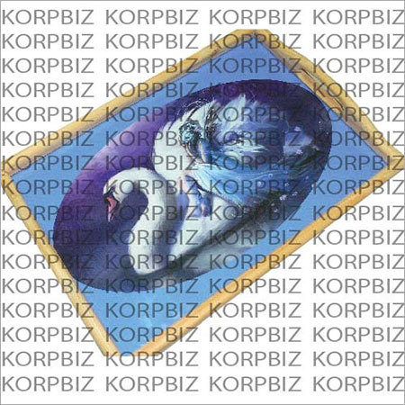 Canvas Art Poster Canvas Art Poster