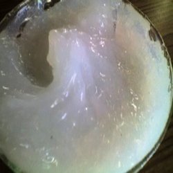 silicon grease silicon grease