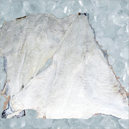 Bachalau Saith Fish Bachalau Saith Fish