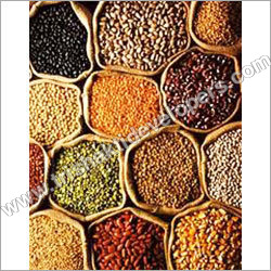 Coarse Grains Coarse Grains