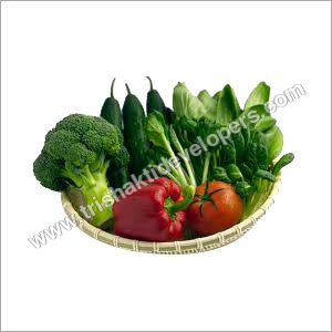 Green Vegetables Green Vegetables